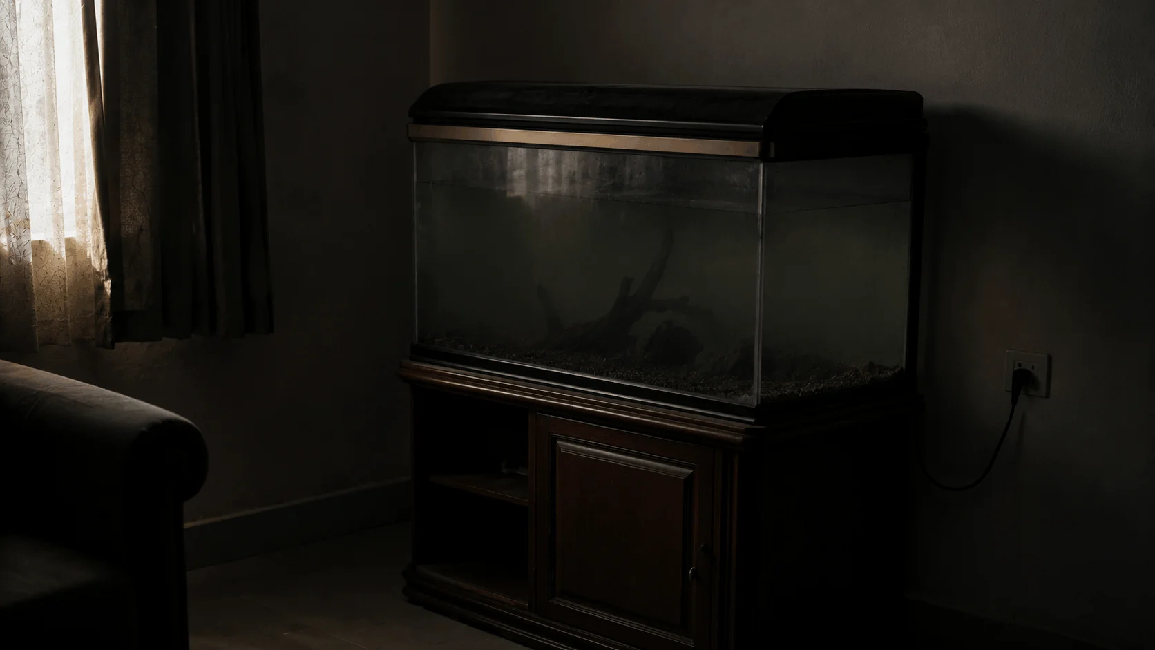 The Aquarium, the Ganesha, and the Three Doors